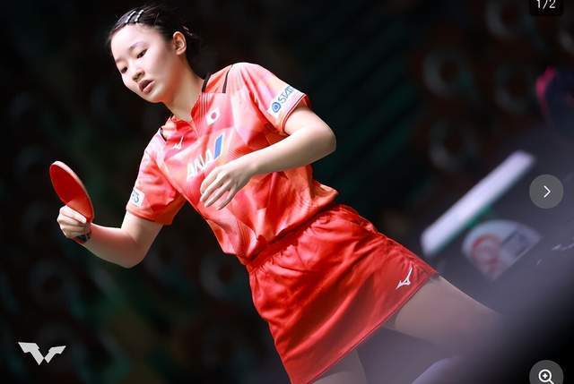 体育比赛 体育比赛